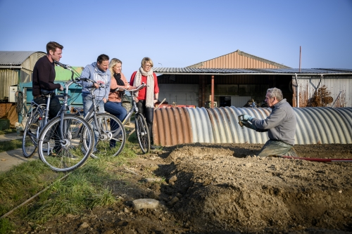 Witte Goudroute West langs Witloof 