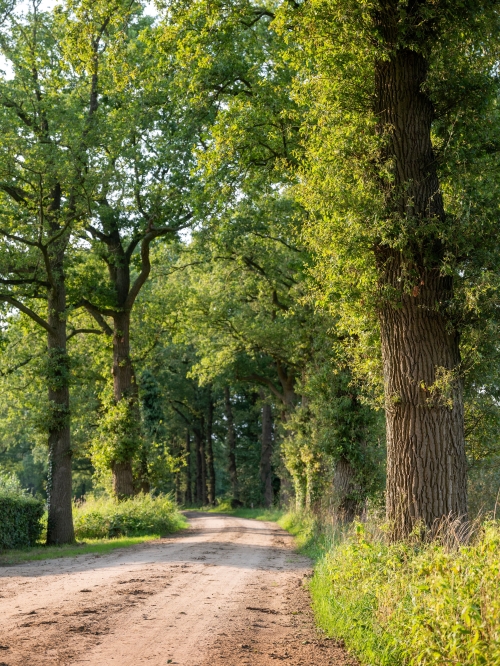 Rondje Achterhoek