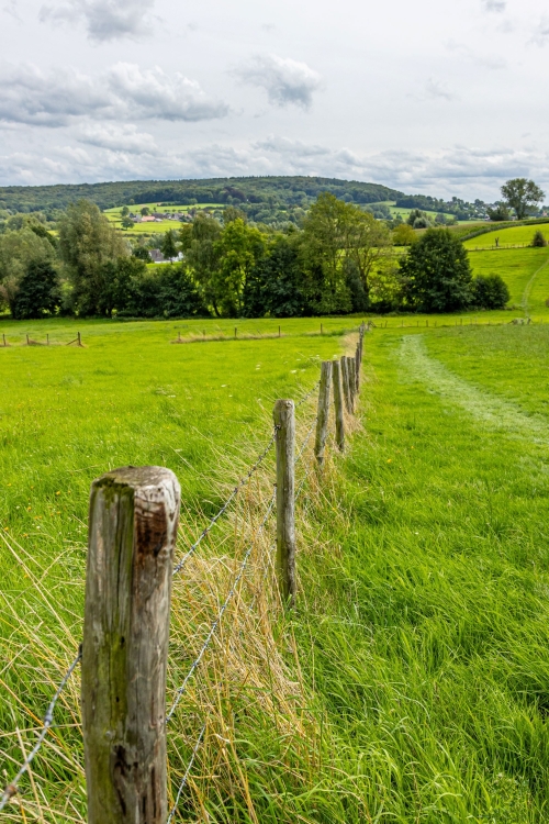 Van Limburg naar Limburg 