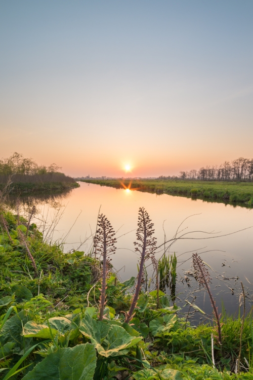 Een bourgondische kijk op de dijk