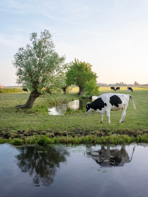 Historisch happen in het Groene Hart